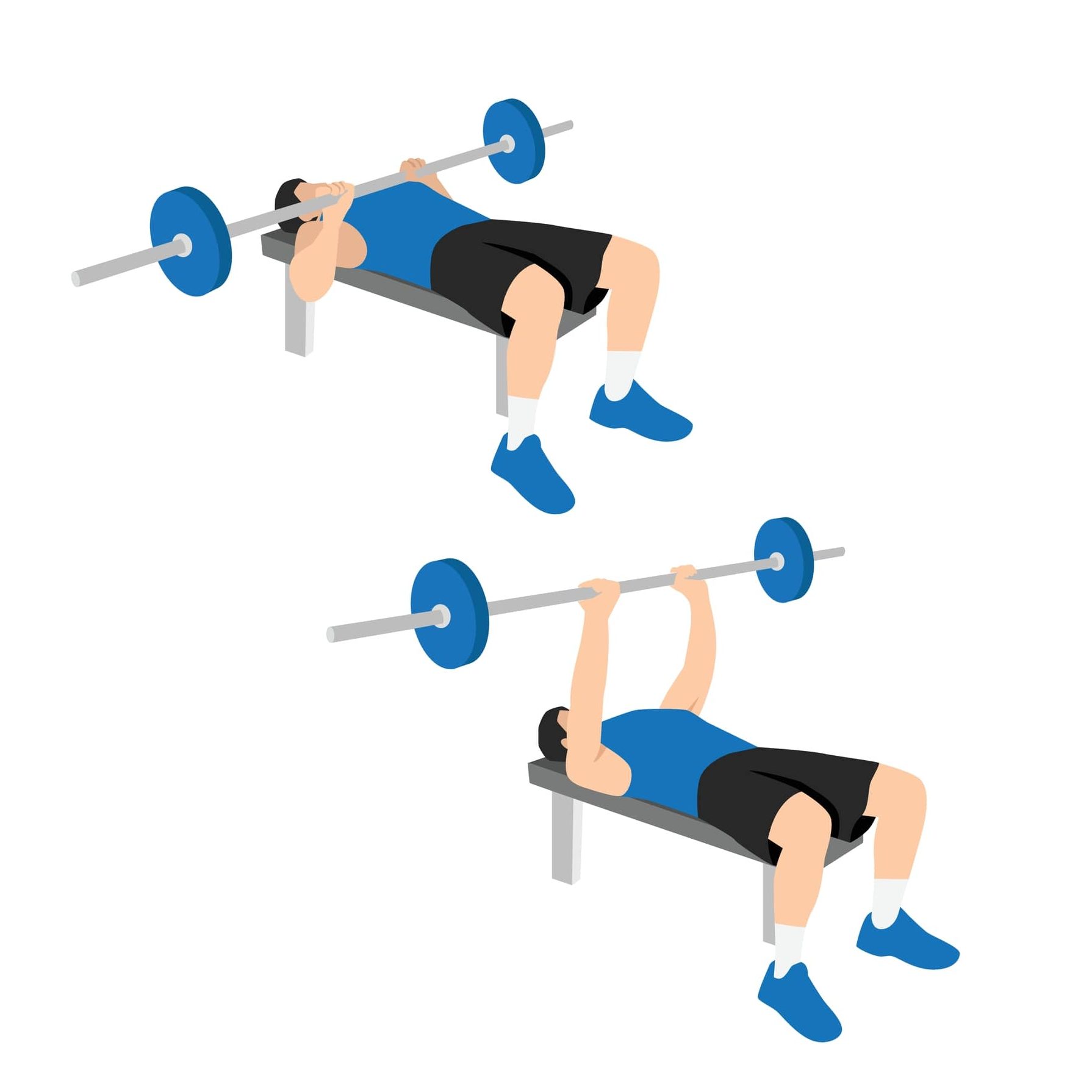 illustration demonstrating two stages of barbell bench press; man lays on bench holding barbell in both hands, he pushes and lowers the weight in line with his chest