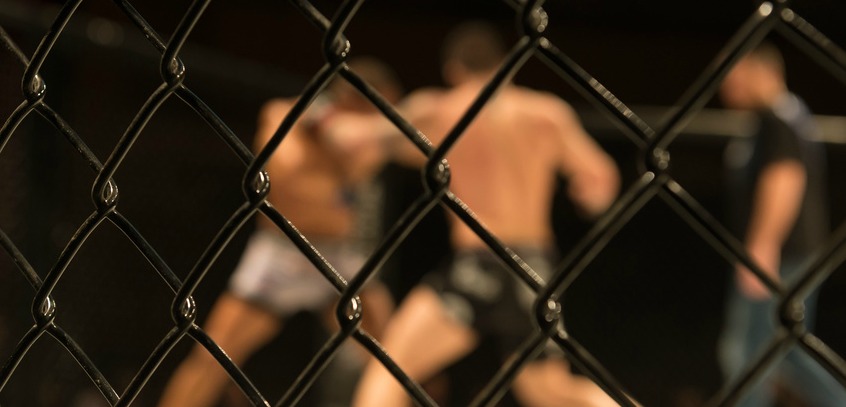 Le MMA au delà des idées reçues !