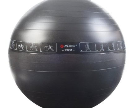 Pure2Improve exercise gym ball