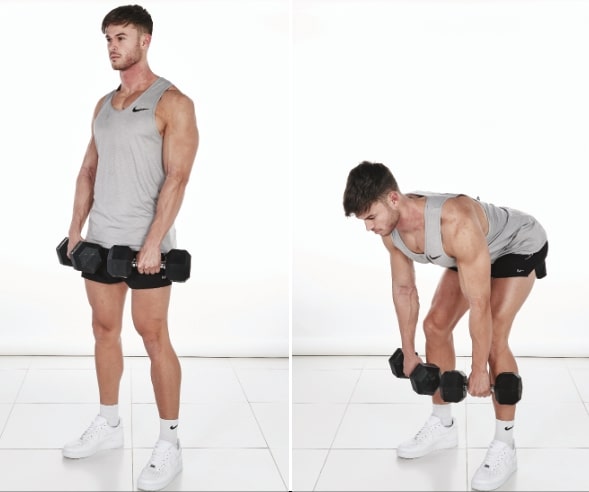 man demonstrates how to do Dumbbell Romanian deadlift; holding a dumbbell in each hand at his hips, he stands straight before bending at the hips and knees to lower the dumbbells, before returning to stand straight