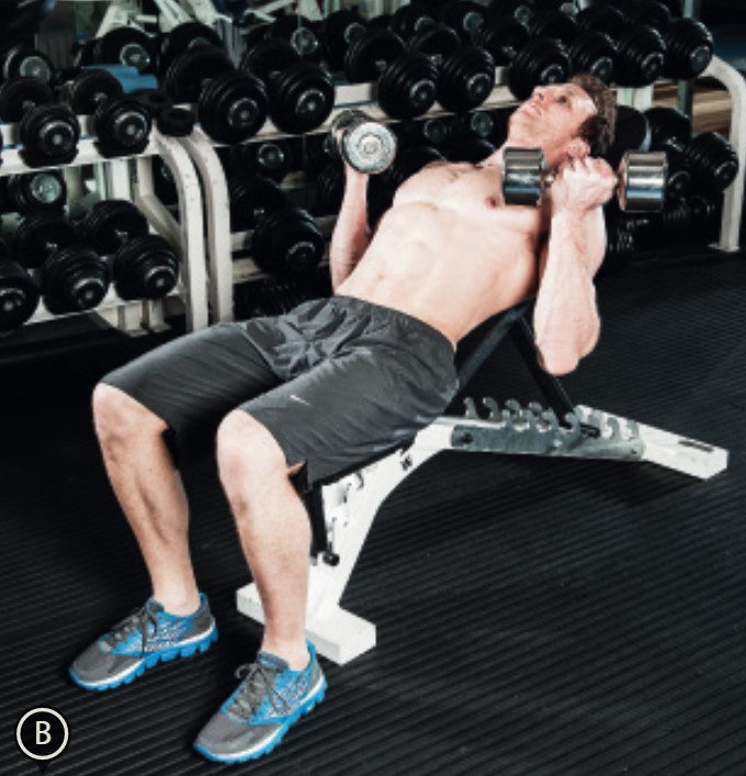 Man performing the end of the seated incline curl - how to build bigger arm muscles