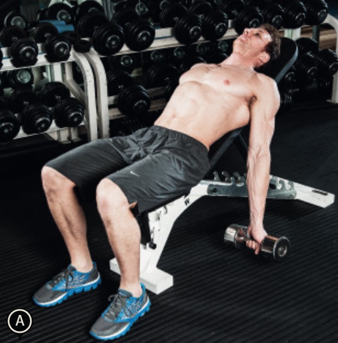 Man performing the seated incline curl - how to build bigger arm muscles